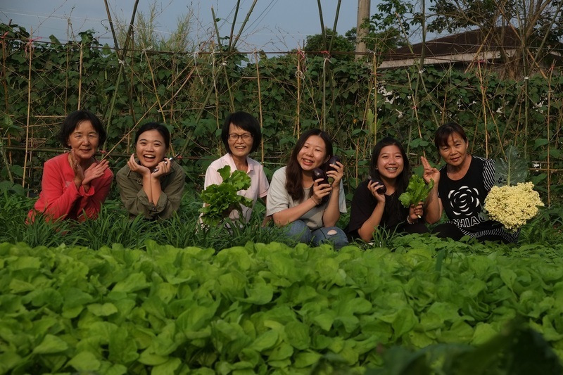 培力小菜苗，我要我們菜一起