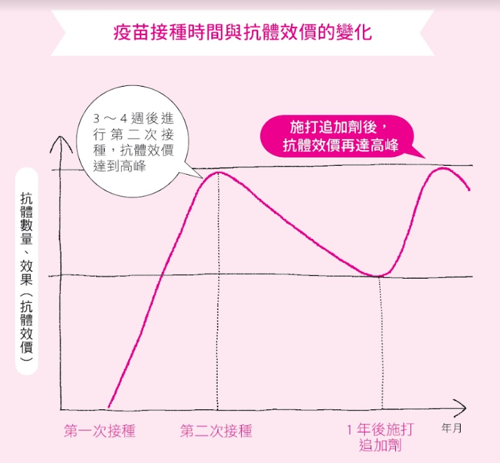 第4劑開打！打完疫苗，抗體何時會開始下降？一圖看懂