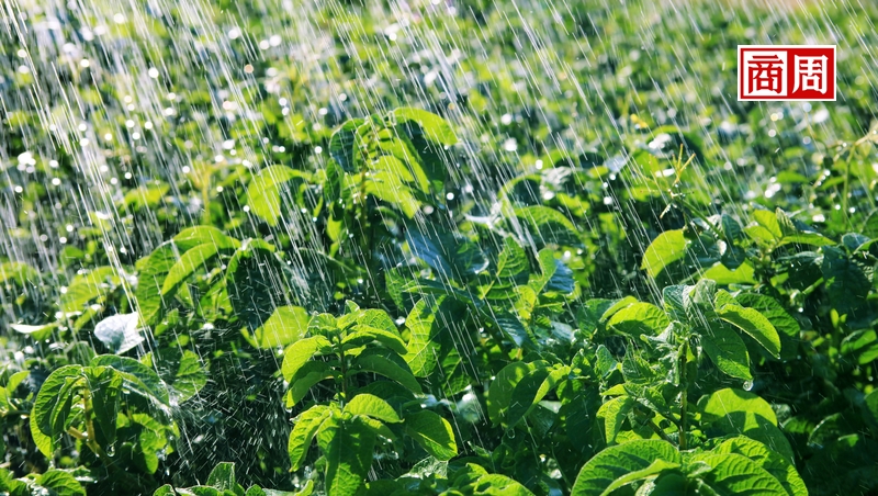 只是上傳下雨的聲音，就月賺60萬？Spotify新煩惱：用戶自製的「白噪音」太紅