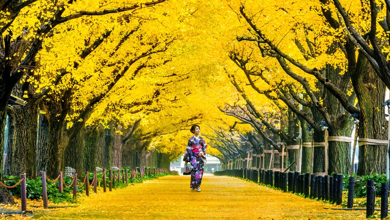 日圓貶值不等於賺到，熱門旅遊點變了...疫後重回日本自由行，你該知道的事