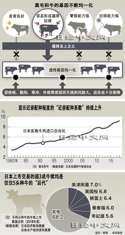 「A5和牛」世界有名，為什麼卻有越來越多日本人呼籲別吃？